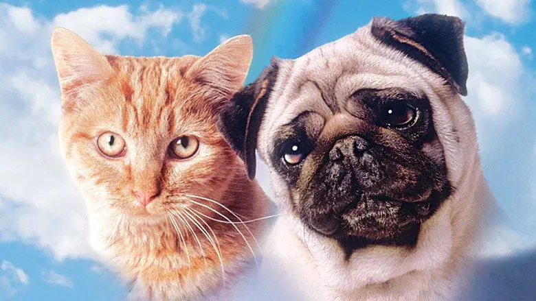 The Adventures of Milo and Otis still 1