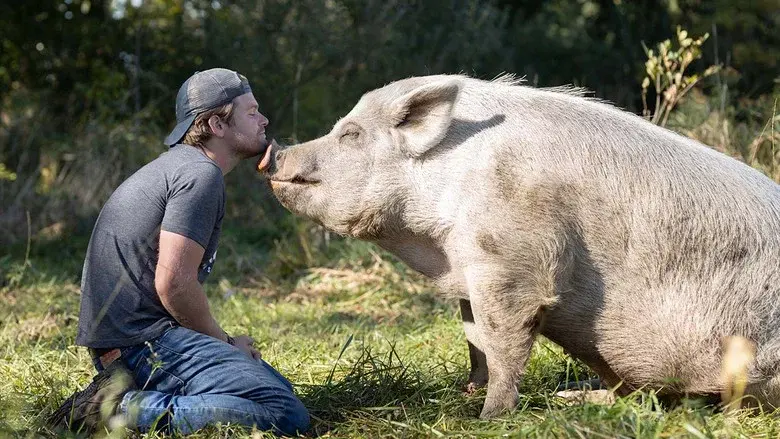 Saved By The Barn still 1
