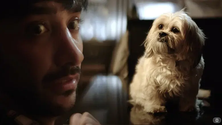 Doggy Bank still 3