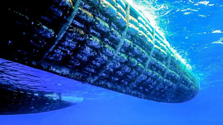 The 12,000 Bottle boat still 2