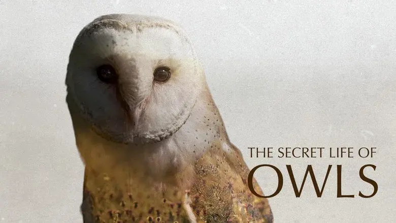 The Secret Life of Owls still 1