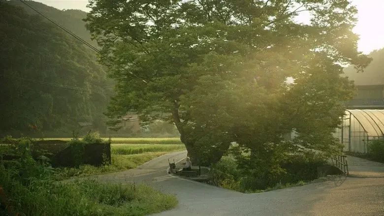 Summer Sounds still 1