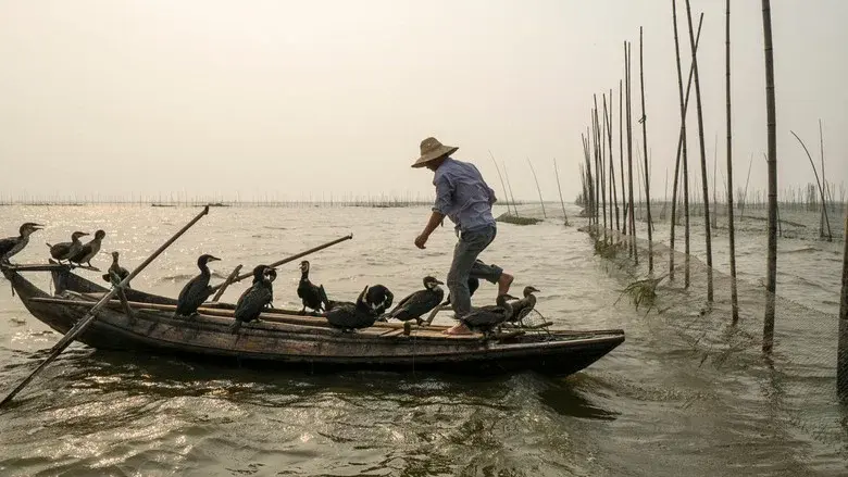 Along the Banks of the Yangtze still 2