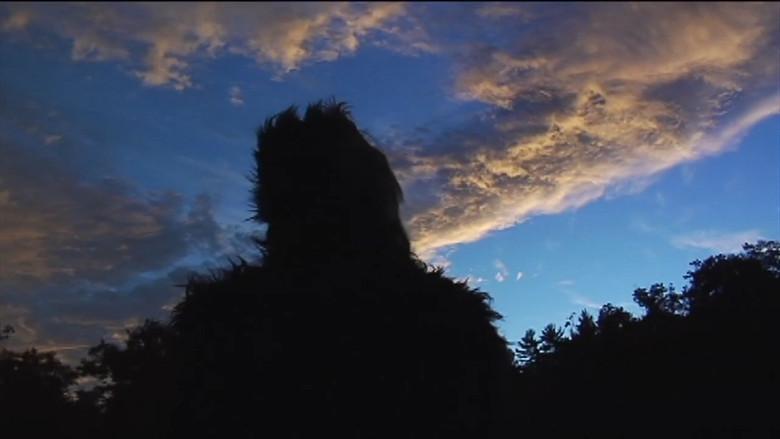 The Bigfoot Diaries still 1