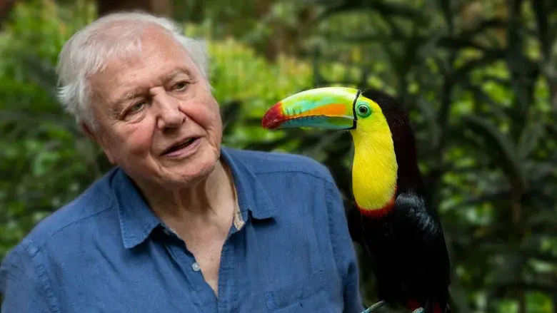 Attenborough's Life in Colour still 1