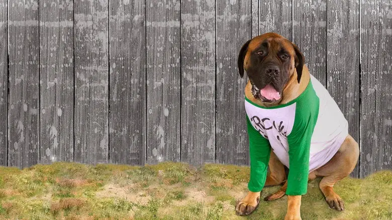 The Sandlot 2 still 4
