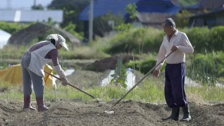 Chernobyl, Fukushima: Living with the Legacy still 2