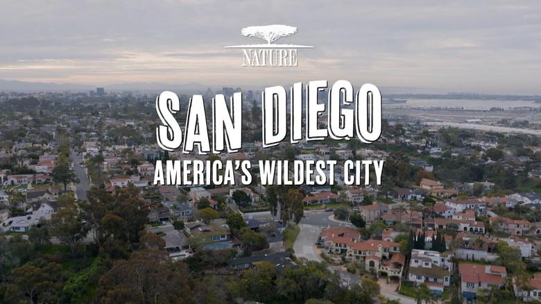 San Diego: America's Wildest City still 1