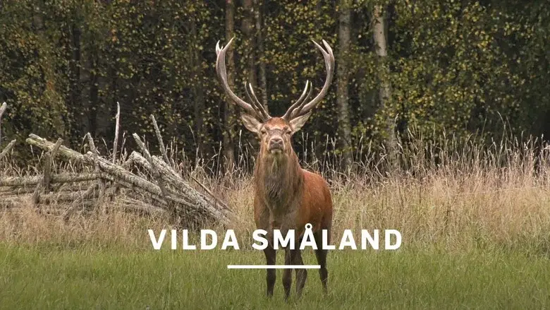 Småland - Sweden's Wild South still 2
