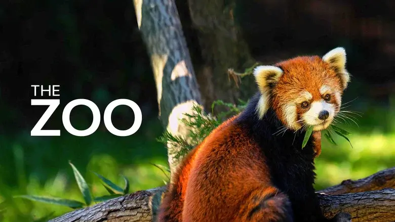 The Zoo still 4