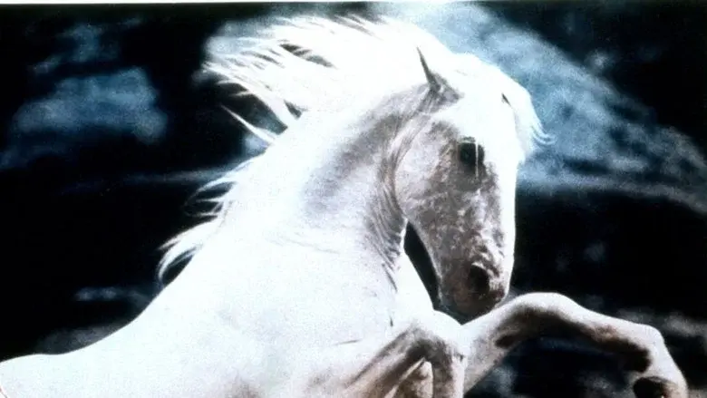 Silver Stallion still 1