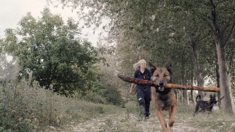 Underdog still 1