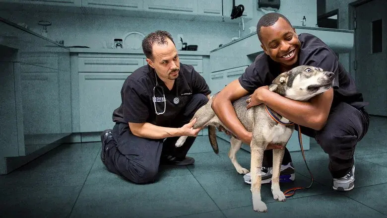 The Vet Life still 4