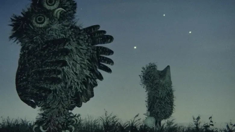 Hedgehog in the Fog still 6