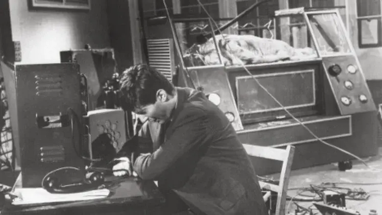 Curse of the Fly still 7