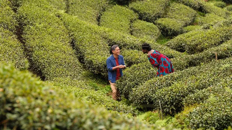 Black Tea still 5