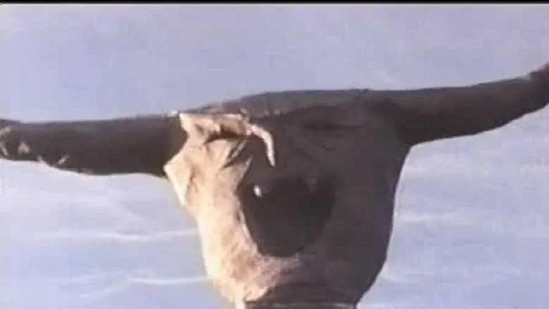 The Final Sacrifice still 1