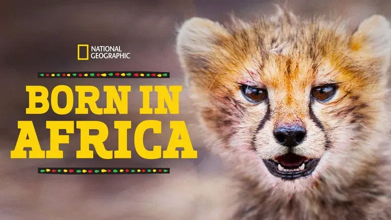Born in Africa still 3