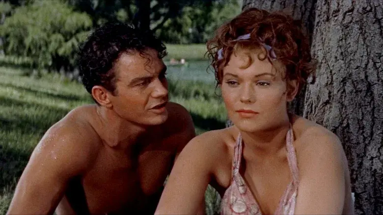 Picnic still 2