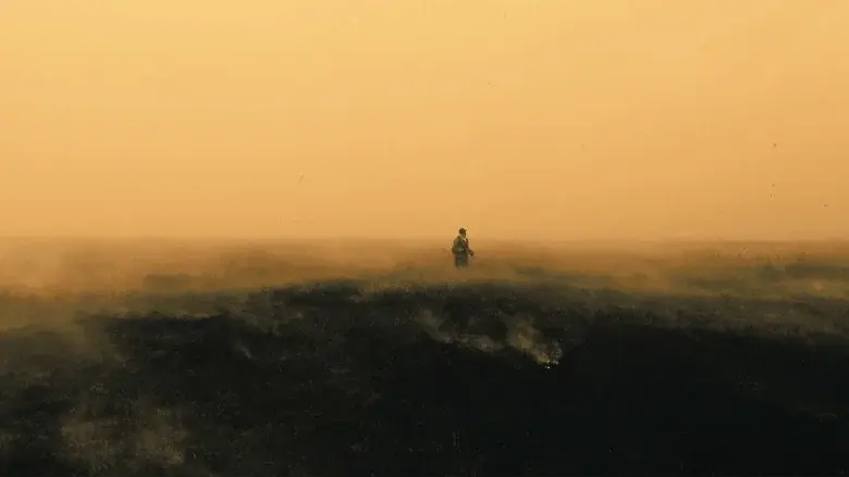 Paradise still 3