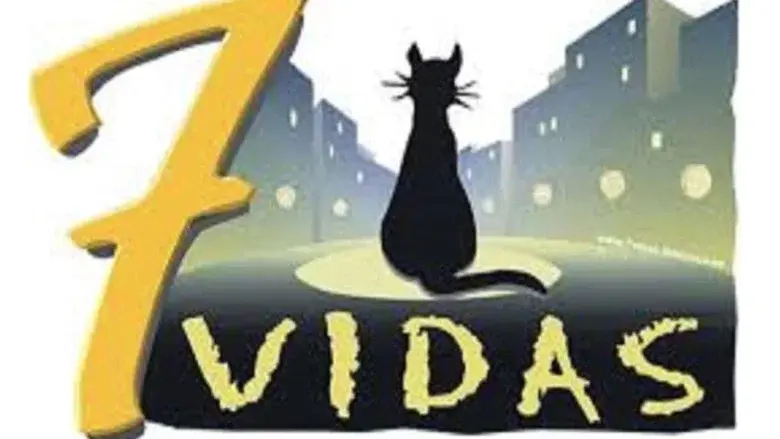 7 vidas still 2