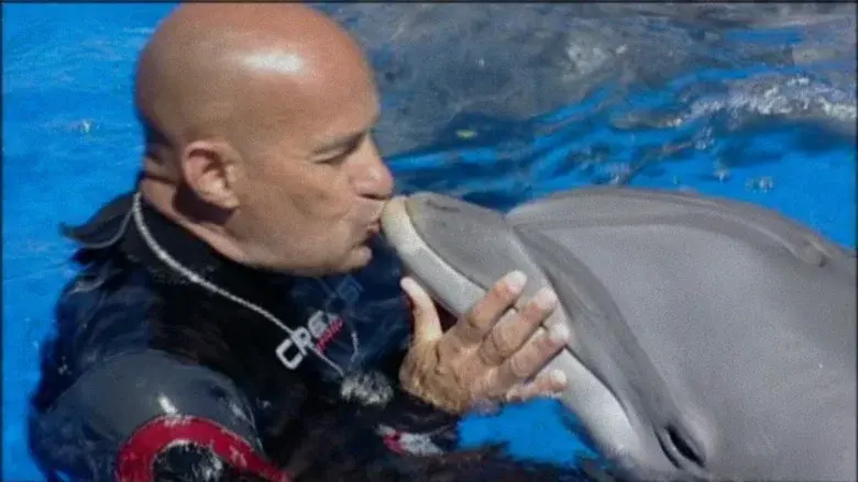 The Last Dolphin King still 2