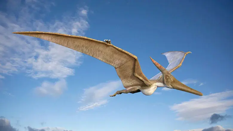 Sky Monsters still 1