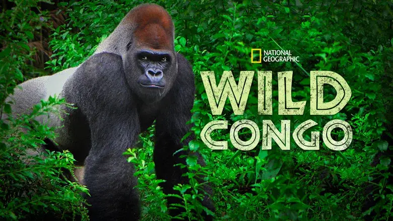 Wild Congo still 6