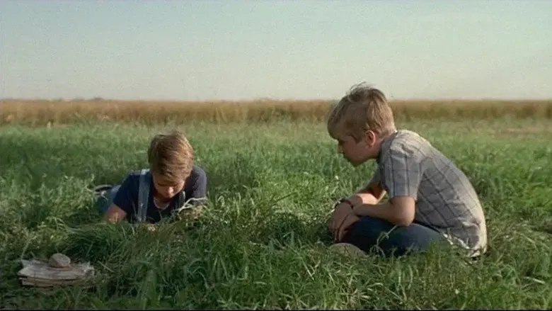 The Nature of Nicholas still 1