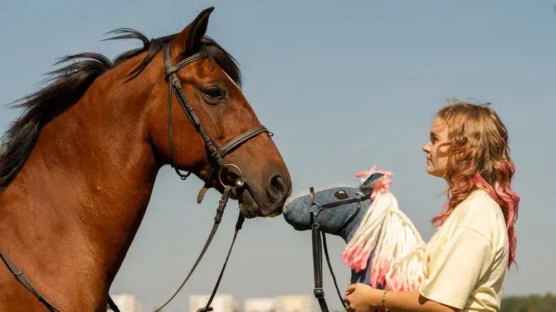 Horse on a Stick still 1