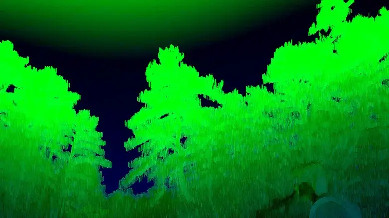 bird5.mp4 still 1