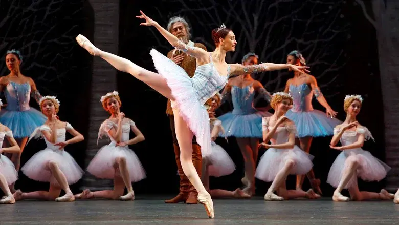 Bolshoi Ballet: Don Quixote still 1