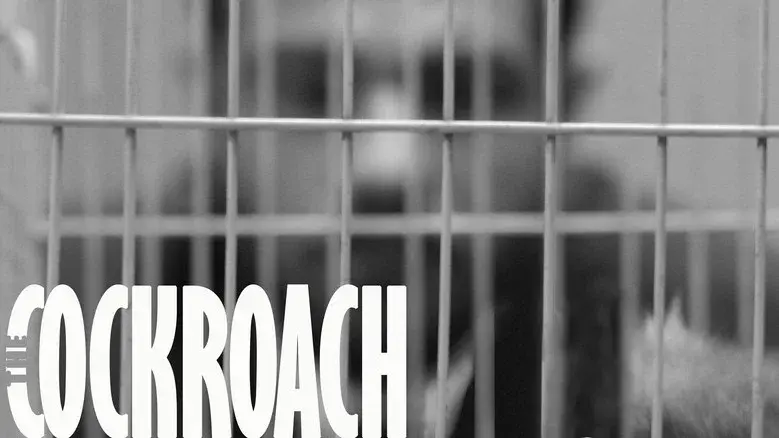 The Cockroach still 1