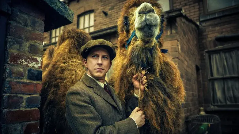 Our Zoo still 7