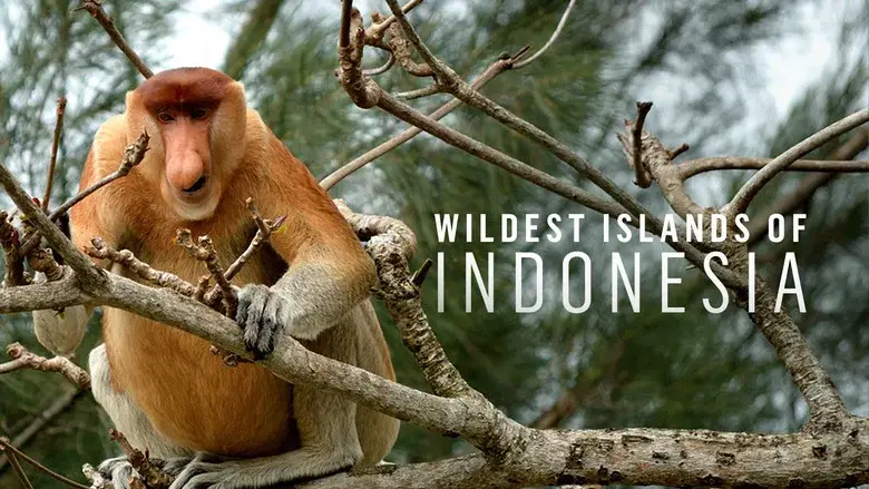 Wildest Islands of Indonesia still 1
