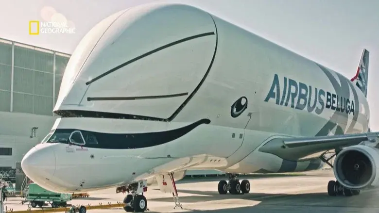 Megastructures: Airbus Beluga XL still 2