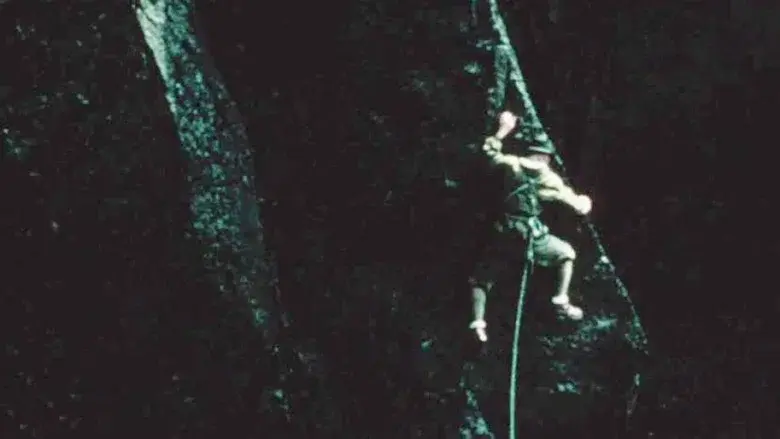 Arrowhead still 1