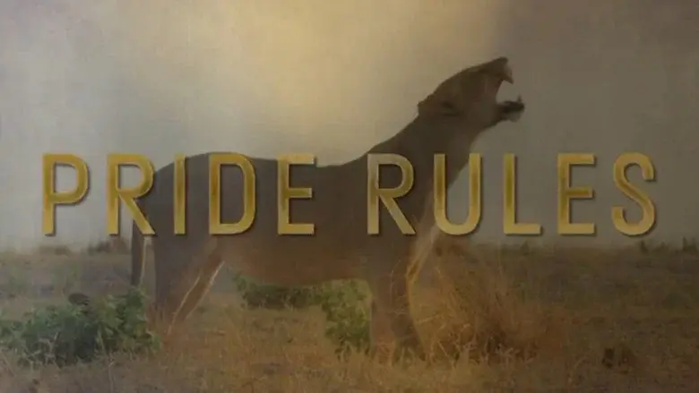 Pride Rules still 2