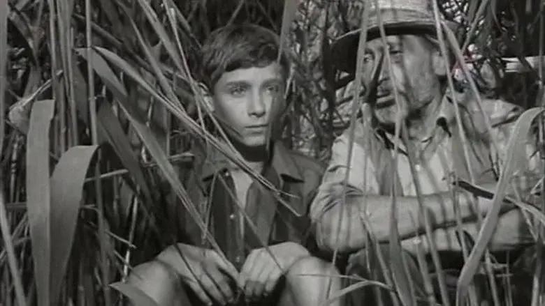Thorn Castle still 1