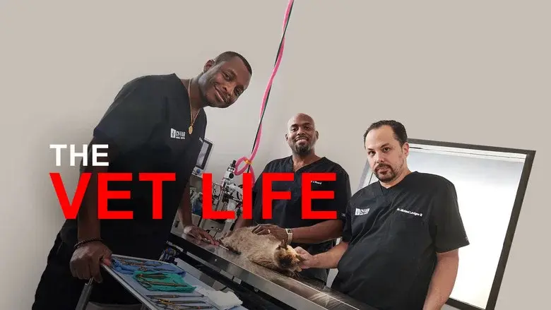 The Vet Life still 8