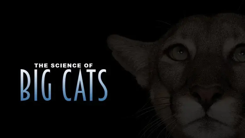 Big Cats still 3
