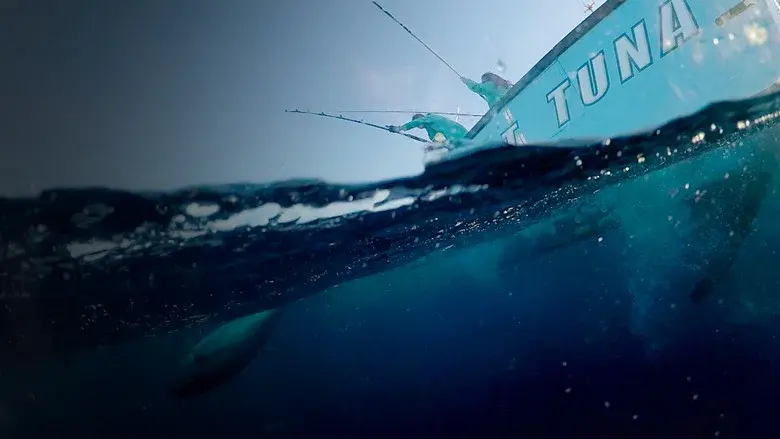 Wicked Tuna: Outer Banks still 4