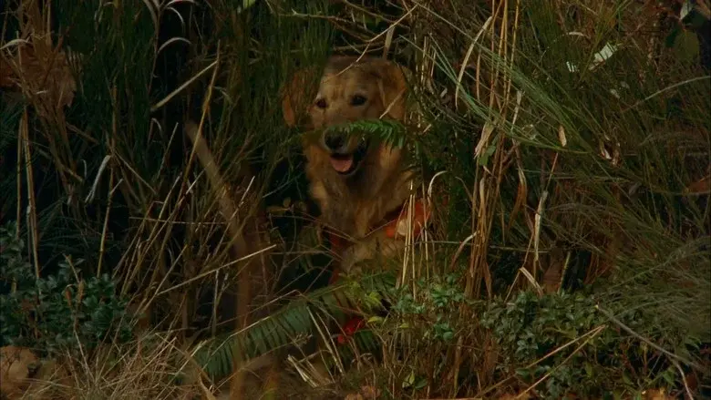 Air Bud still 4