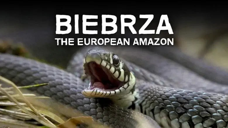 Biebrza: The European Amazon still 2