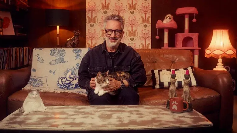 David Baddiel: Cat Man still 1