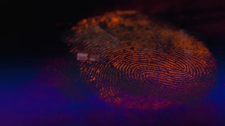48 Hours still 5