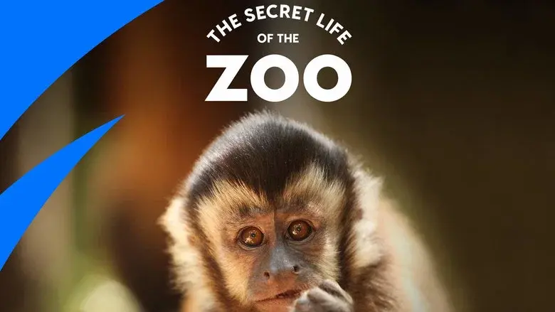 The Secret Life of the Zoo still 2
