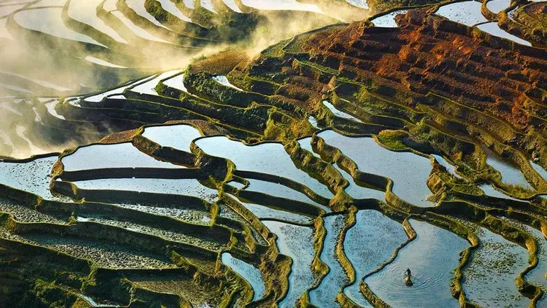 H2O: The Molecule that Made Us still 3