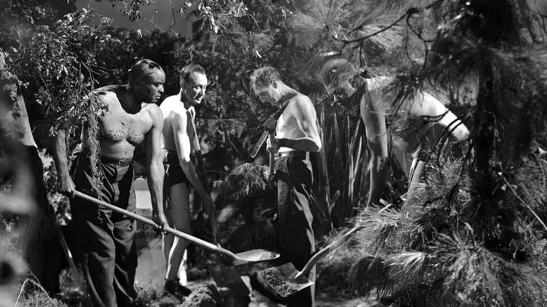 Revenge of the Zombies still 7