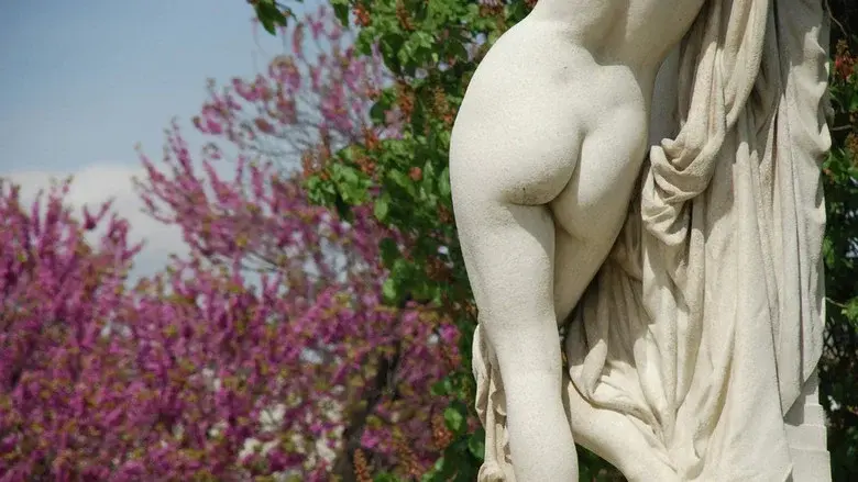 L'art du derrière, une folle histoire des fesses still 1